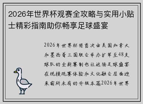 2026年世界杯观赛全攻略与实用小贴士精彩指南助你畅享足球盛宴